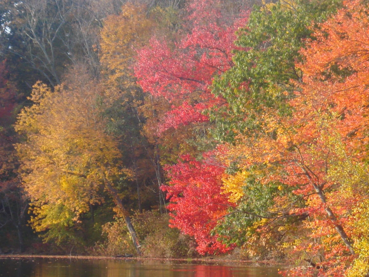 Brilliant Fall Foliage - An Insider's Spain Travel Blog & Spain Food Blog!