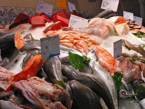 Fresh Fish Market