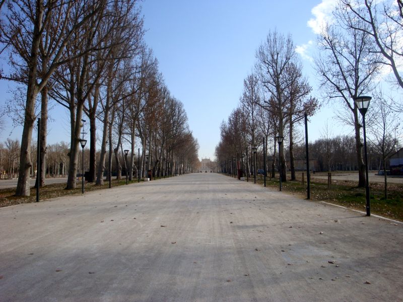 Long, wide road with trees on either side and the Aranjuez Royal Palace in the distance.