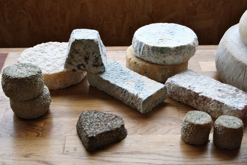 Selection of Cantagrullas Cheeses