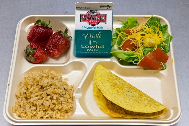 school lunch tray