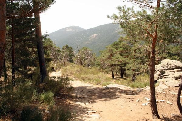 Hiking In Madrid Cercedilla Spanish Sabores Simple Spanish