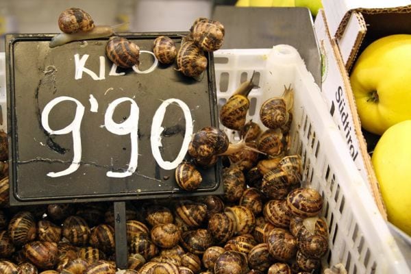 Snails Market