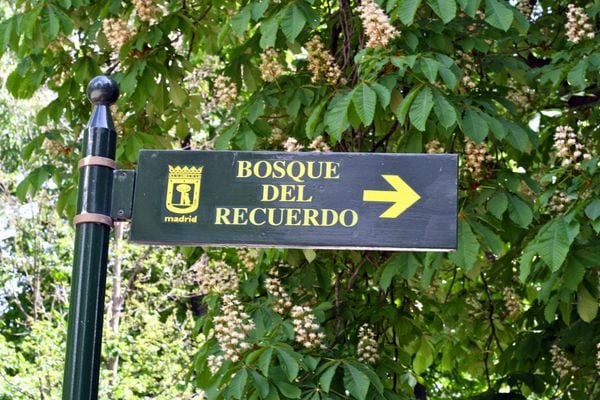 Bosque del recuerdo sign