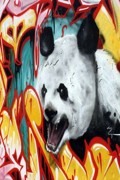 Panda graffiti
