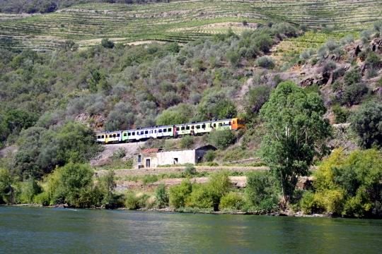 Pinhão Train