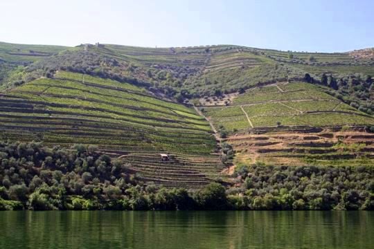 Wine valley