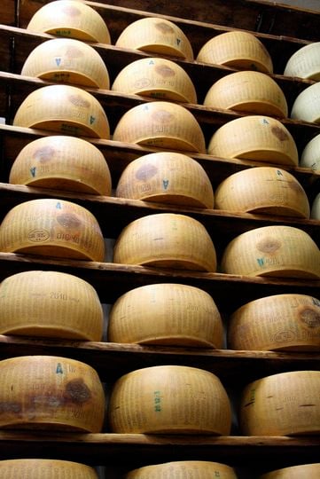 Enormous wheels of fragrant Parmesan cheese.