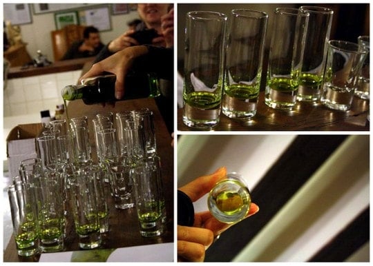 Olive oil tasting