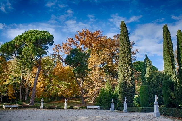 Capricho park things to do in Madrid