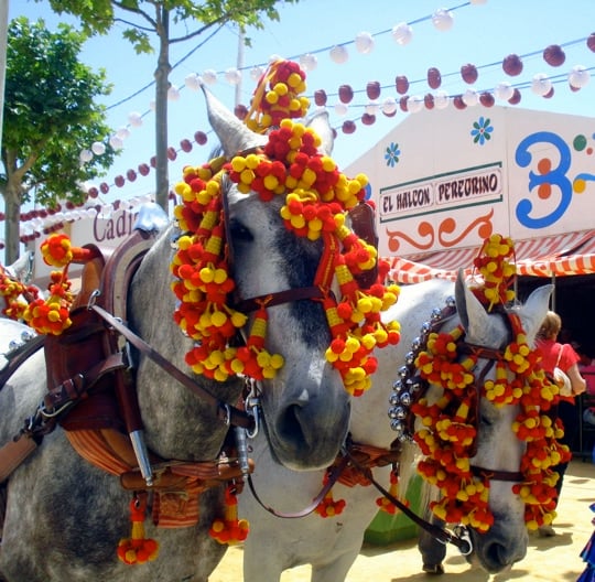 Colorful horses in El Puerto