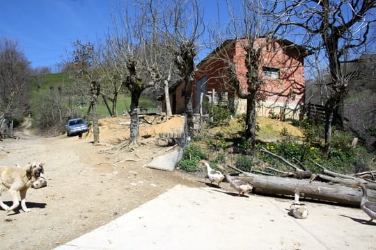 Farm in Navarra