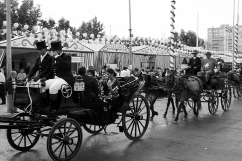 Horse and carriage Seville fair