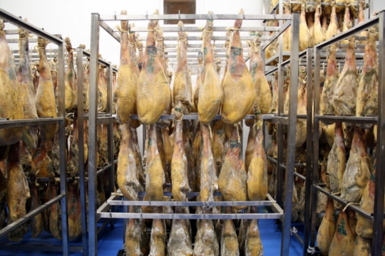 Ham factory Maskarada