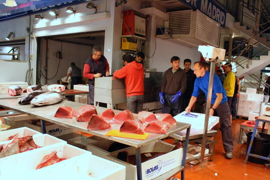 A metal table with several large pieces of raw tuna and several men standing behind it.