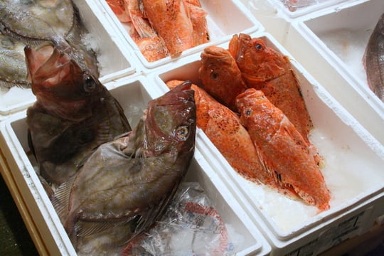 Close-up of boxes filled with ice and different kinds of whole raw fish.