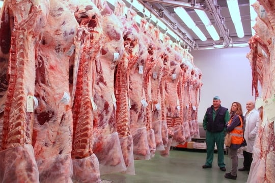 A long row of skinned animal carcasses hanging from the ceiling of Mercamadrid.