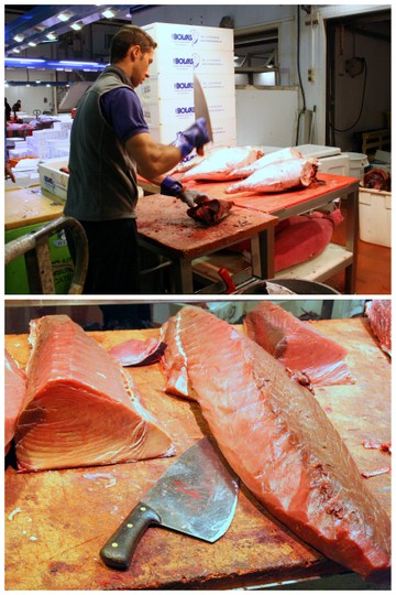A man chopping raw tuna, and a close-up of the large tuna fillets.