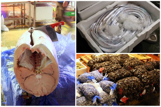 A photo of a large fish cut in half, bags of shellfish, and eels in a box of ice.
