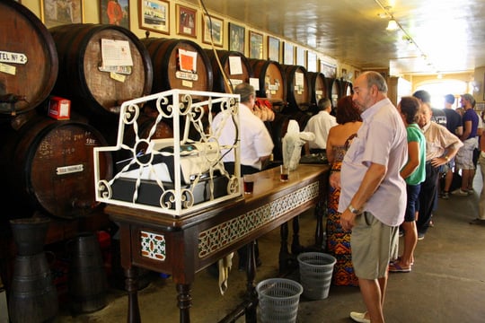 Malaga wine bar on Malaga tapas tour.