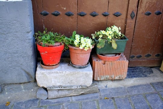 Flowerpots in Leitza Navarra