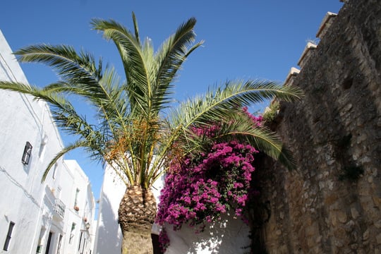 Vejer Spain