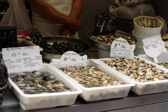 malaga clams