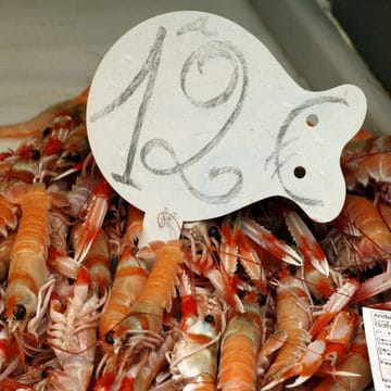Super expensive seafood is a sure sign it's almost Christmas in Spain
