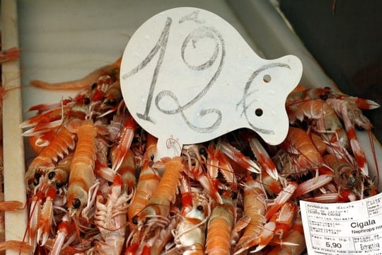 Super expensive seafood is a sure sign it's almost Christmas in Spain