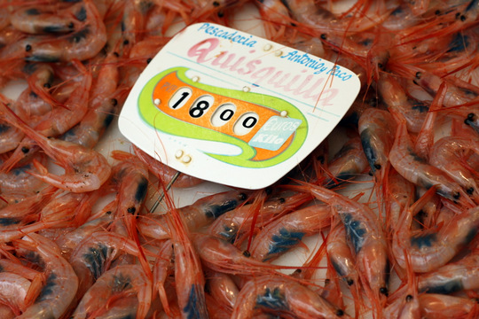 Malaga market shrimp