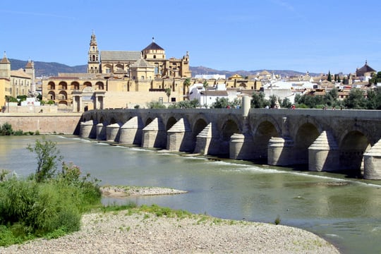 Cordoba bridge