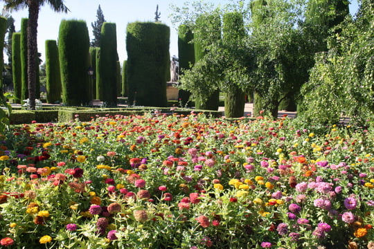 Cordoba gardens