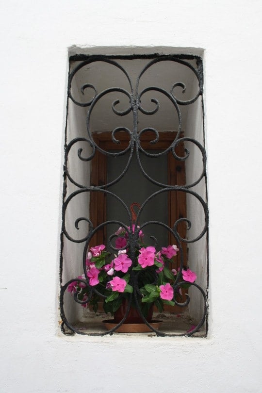 Cordoba window flowers