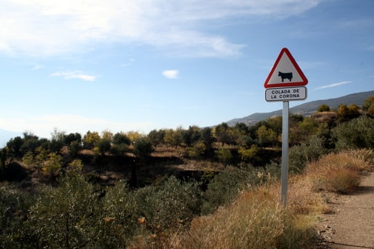 Las Alpujarras Casa Ana B&B