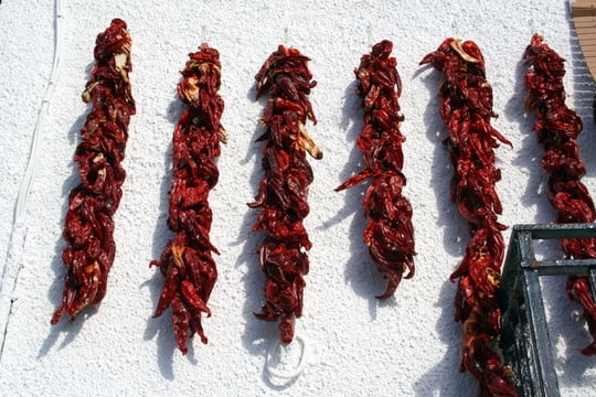 Food in Alpujarras Granada