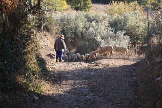 Las Alpujarras Casa Ana B&B