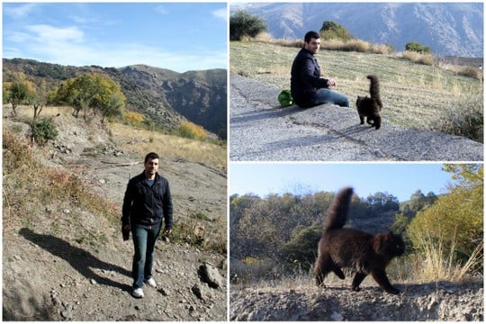 Las Alpujarras Casa Ana B&B