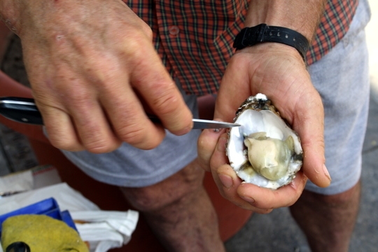 Oysters in Cadiz, Spain blogs