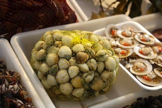 Variegated scallops in king scallop sauce from the Galician Rias