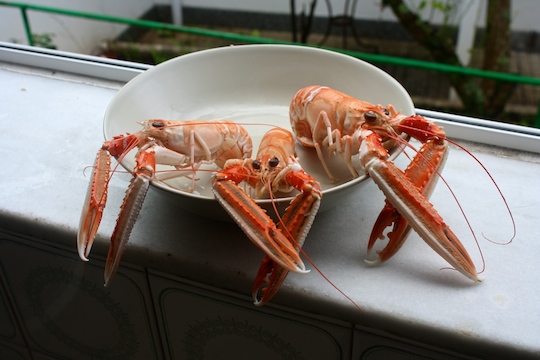 seafood in Galicia