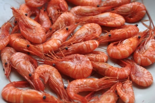 Gambas