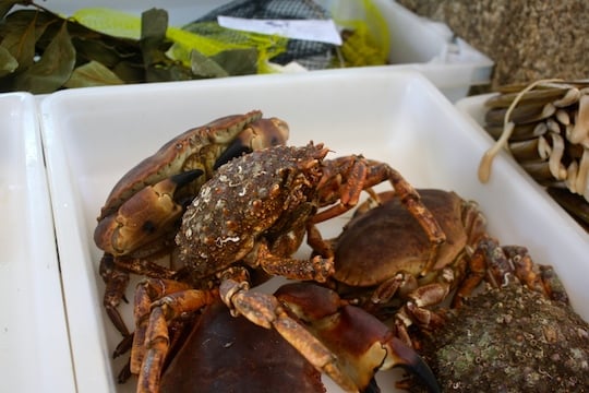 seafood in Galicia