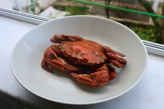 seafood in Spain