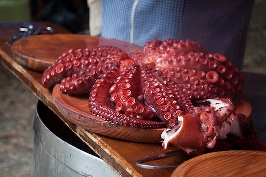 Galician octopus festival