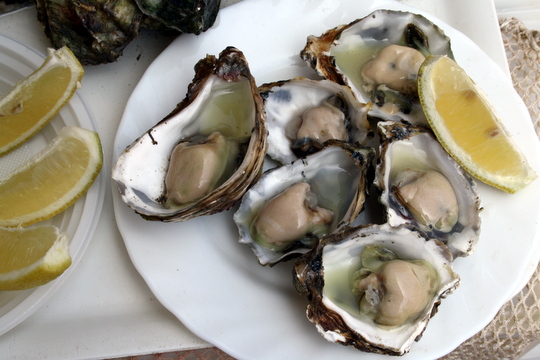 oysters in Cadiz