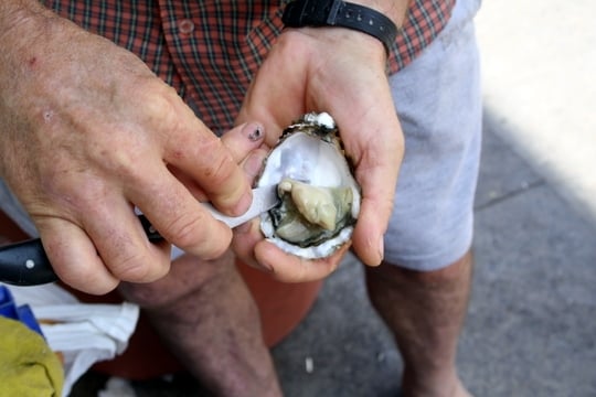 Eating oysters in Cadiz market