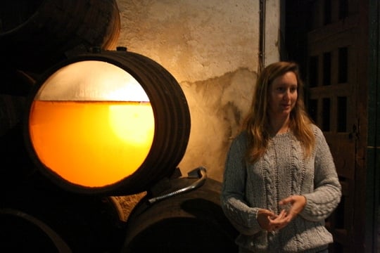 visiting Bodegas Gutierrez Colosia