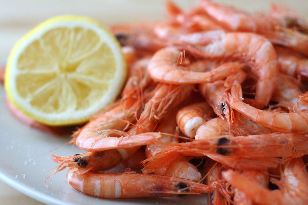 Close-up of a heaping plate of whole  boiled shrimp with half a lemon.