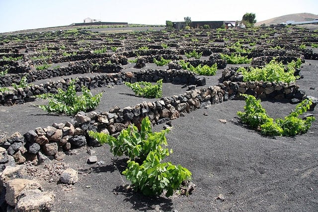 Black volcanic sand makes for amazingly unique wines in Lanzarote, one of the top off-the-beaten-path wine regions in Spain.