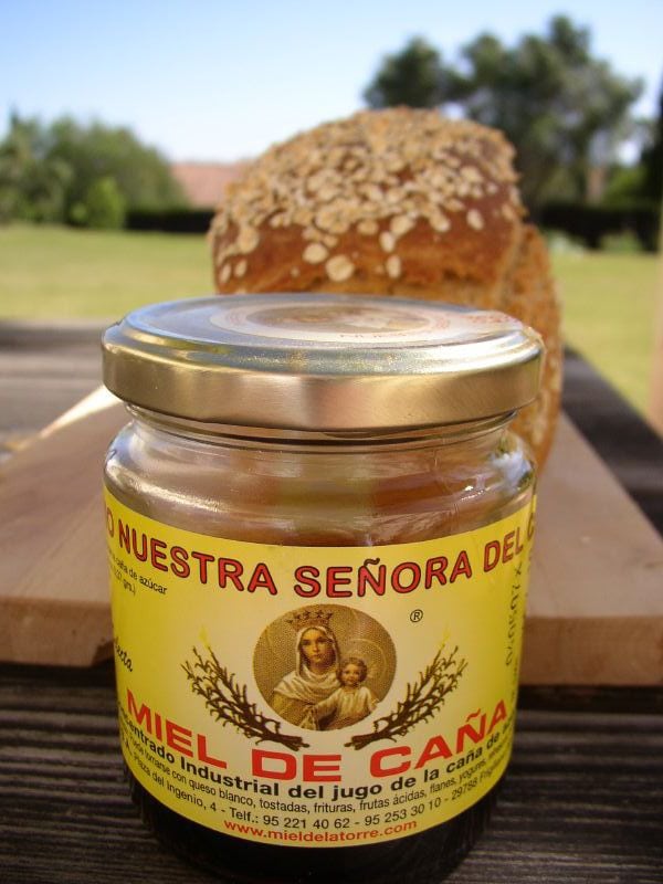 This is miel de caña, just one of the many foods from malaga that will surprise you!